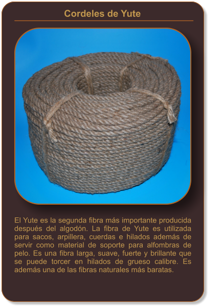 El Yute es la segunda fibra más importante producida después del algodón. La fibra de Yute es utilizada para sacos, arpillera, cuerdas e hilados además de servir como material de soporte para alfombras de pelo. Es una fibra larga, suave, fuerte y brillante que se puede torcer en hilados de grueso calibre. Es además una de las fibras naturales más baratas. Cordeles de Yute